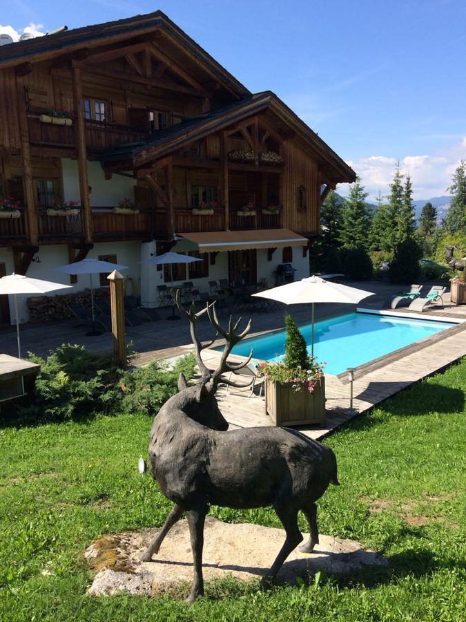 Le Cerf Amoureux Chalet Prive & Spa 萨莱切 外观 照片