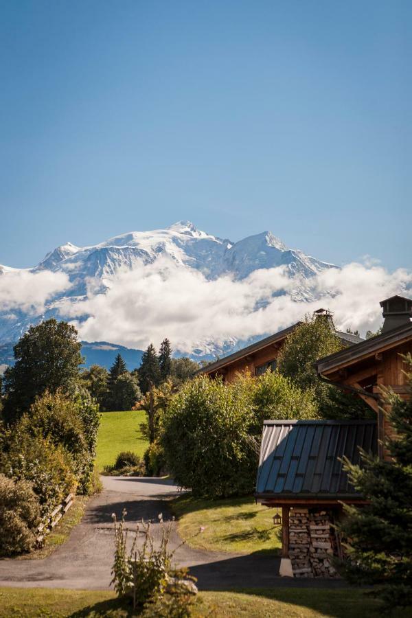 Le Cerf Amoureux Chalet Prive & Spa 萨莱切 外观 照片