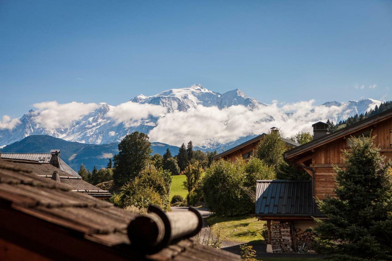 Le Cerf Amoureux Chalet Prive & Spa 萨莱切 外观 照片